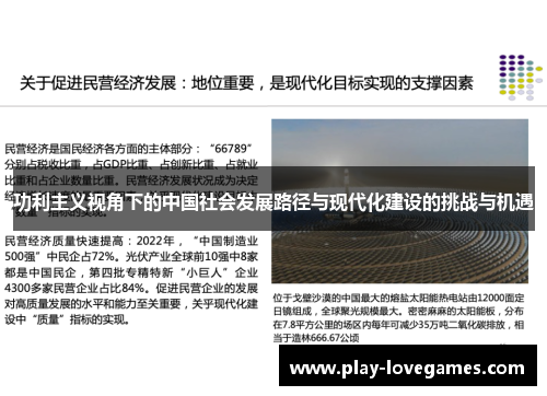 功利主义视角下的中国社会发展路径与现代化建设的挑战与机遇