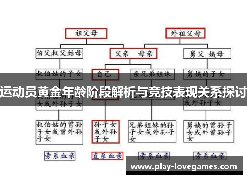 运动员黄金年龄阶段解析与竞技表现关系探讨